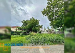 for sale • rare vacant lot in bf heva, bf homes, parañaque city