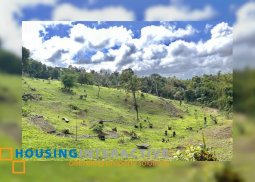beautiful farm land for sale in cavinti, laguna