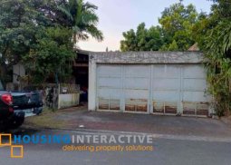 lot for sale in st. ignatius village quezon city
