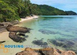 beach property for sale at el nido, palawan
