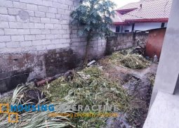 lot for sale at dumaguete city