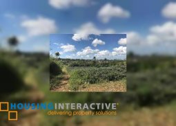 vacant lot for sale in brgy. tolentino, tagaytay