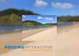 commercial beach for sale in bucana beach, palawan