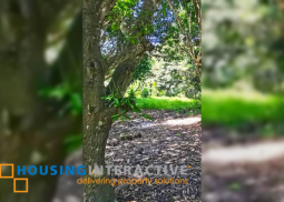 lot for sale in dumaguete city, negros oriental