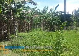 lot for sale in dumaguete city, negros oriental