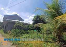 lot for sale in dumaguete city