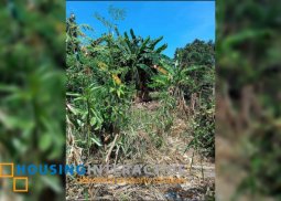 lot for sale in dumaguete city, negros oriental