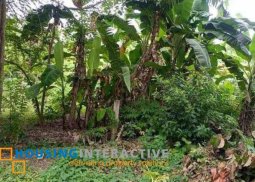 lot for sale in dumaguete city, negros oriental