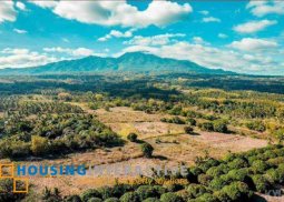 lot for sale in dauin negros oriental