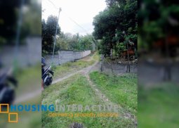 lot for sale in valencia, dumaguete city