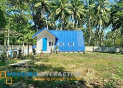 lot for sale in zamboanguita, negros oriental