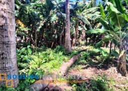 lot for sale in dumaguete city, negros oriental