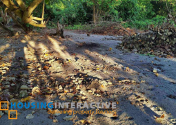 beach lot for sale in zamboanguita, negros oriental