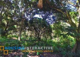 lot for sale in valencia, negros oriental