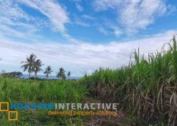 lot for sale in dauin negros oriental