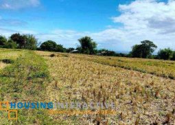 lot for sale in zamboangita, negros oriental