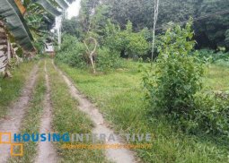 lot for sale in valencia, negros oriental