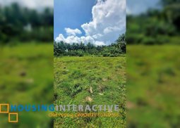 lot for sale in valencia, negros oriental