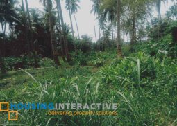 lot for sale in valencia, negros oriental