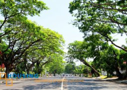 vacant lot for sale in ayala alabang