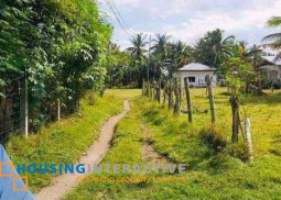 lot for sale in bacong, dumaguete city
