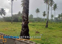 lot for sale in valencia, negros oriental