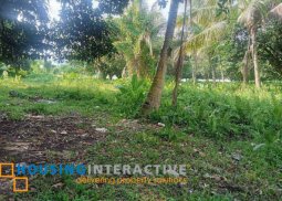lot for sale in valencia, dumaguete city