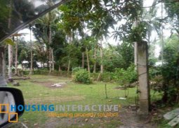 lot for sale in valencia, negros oriental
