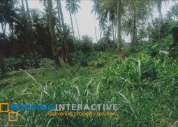 lot for sale in valencia, negros oriental