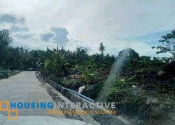 lot for sale in valencia, negros oriental