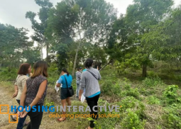 lot for sale in panglao island, dauis, bohol