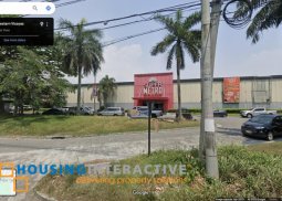 lot for sale in talisay, negros occidental