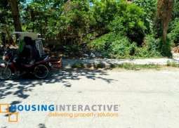 lot for sale in kabankalan, negros occidental