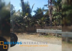 beach lot for sale in cauayan, negros occidental