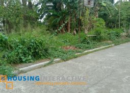lot for sale in kabankalan, negros occidental