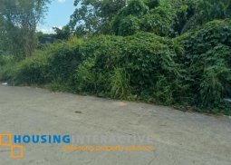 lot for sale in kabankalan, negros occidental