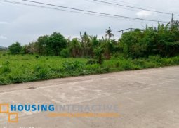 lot for sale in kabankalan, negros occidental