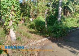 lot for sale in kabankalan, negros occidental