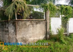 lot for sale in kabankalan, negros occidental