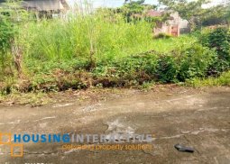 lot for sale in kabankalan, negros occidental