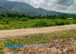 lot for sale in kabankalan, negros occidental