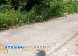 lot for sale in kabankalan, negros occidental