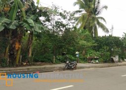 lot for sale in kabankalan, negros occidental