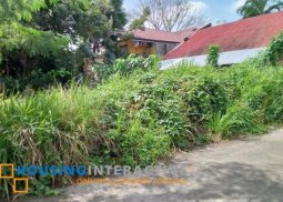 lot for sale in kabankalan, negros occidental