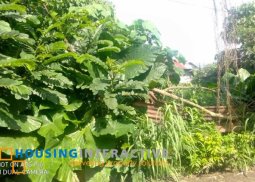 lot for sale in kabankalan, negros occidental
