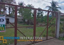 lot for sale in kabankalan, negros occidental