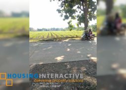 lot for sale in kabankalan, negros occidental