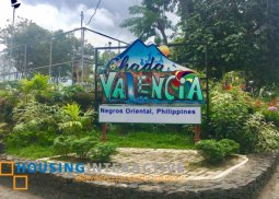 vacant lot for sale in valencia, negros occidental