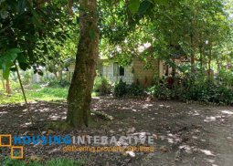 vacant lot for sale in bong-ao, valencia, negros oriental