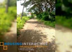 residential lot for sale in kabankalan, negros occidental